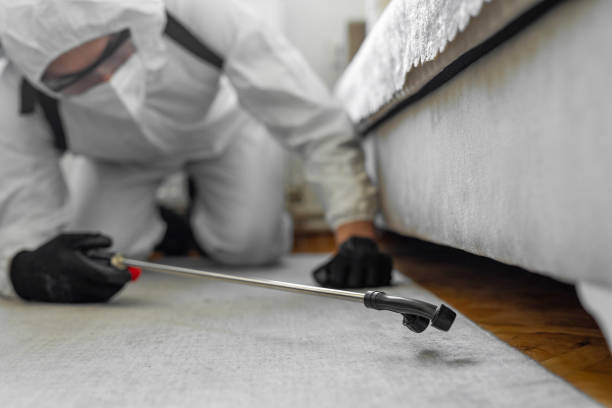 Professional Bed Bug Control technician working in Sioux County County, ND